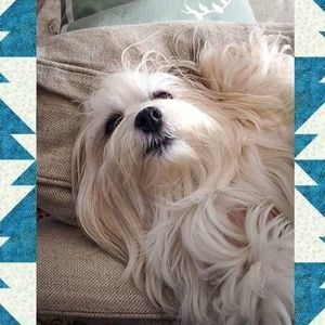 Meet your Posher, Beth